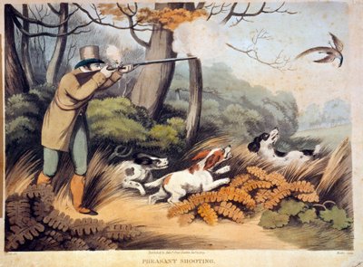 Fácánvadászat Angliában. 19. századi metszet. Gien, vadászati múzeum alkotó: Unknown artist