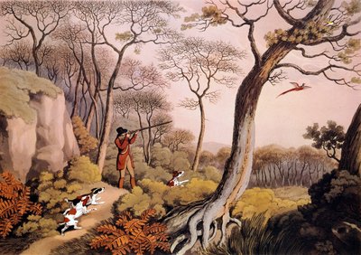 Fácánvadászat Angliában. 19. századi metszet. Gien, vadászati múzeum alkotó: Unknown artist