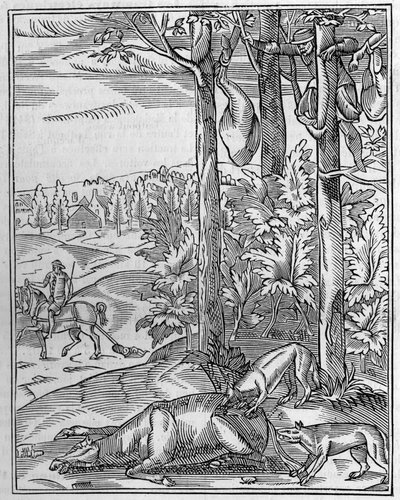 Vadászat a farkasra: a kilátó. 16. századi fametszet fakszimile (Facsimile). Metszet a „természetbe”: 1892. április 9-i áttekintés a tudományokról és alkalmazásukról a művészetben és az iparban. alkotó: Unknown artist