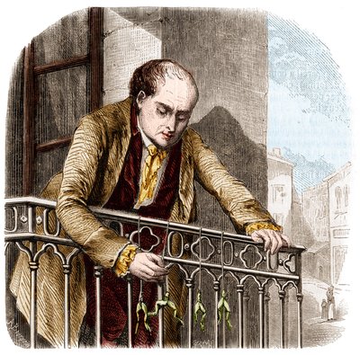 Illusztráció Luigi Galvani olasz fizikus és orvos (1737 - 1798) békákkal végzett kísérleteiről. alkotó: Unknown artist