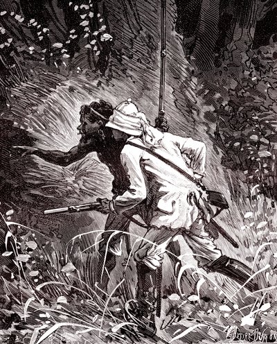 Guyanai dzsungelben a gumi (Hevoea) mezőkön alkotó: Unknown artist