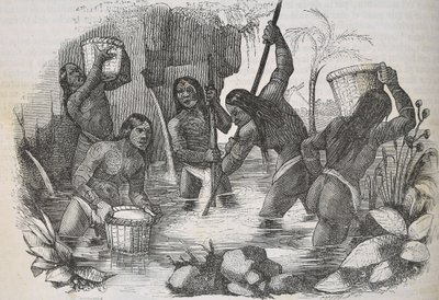 Indiánok Hispaniola szigetéről aranyat fürösztenek alkotó: Unknown artist