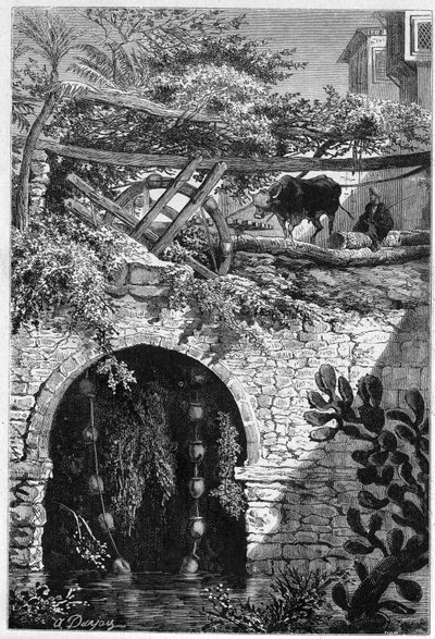 Öntözés Egyiptomban: az ökör egy kereket forgat, amely köré vödrök vannak becsomagolva. Metszet az 1882. május 27-i „” Le Monde Illustré”” 1313. sz. alkotó: Unknown artist