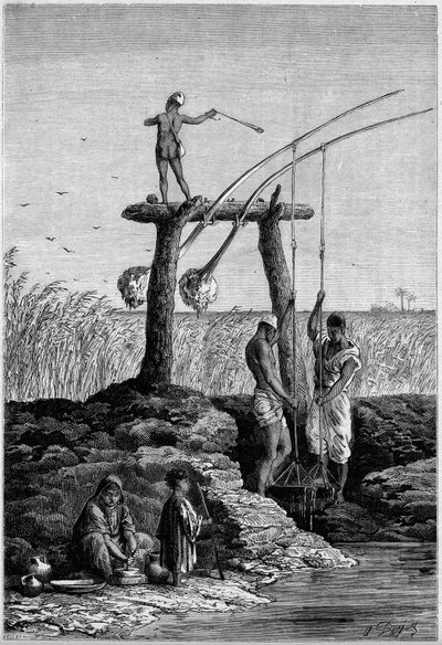 Öntözés Egyiptomban: chadoufs (vagy shadoufs) a Nílus partján. Metszet az 1882. május 27-i „” Le Monde Illustré”” 1313. sz. alkotó: Unknown artist