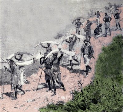 Elefántcsont-kereskedelem: a kongói hordozók karavánja elefántvédelmet szállít. századi metszet alkotó: Unknown artist