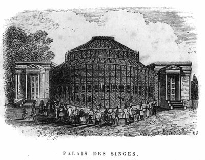 Jardin des Plantes Párizsban 1861-ben: a majmok palotája. alkotó: Unknown artist