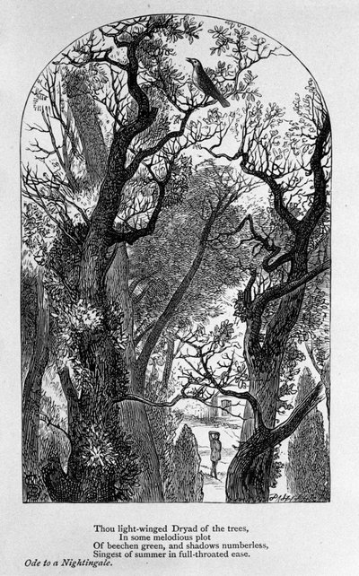 John Keats: Óda egy csalogányhoz alkotó: Unknown artist