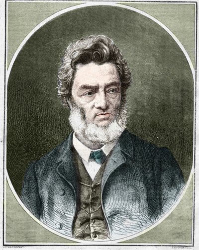 Jules Favre (1809-1880), francia politikus és jogász. alkotó: Unknown artist