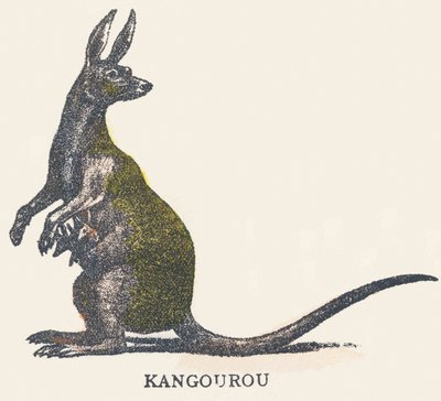 K: kenguru alkotó: Unknown artist