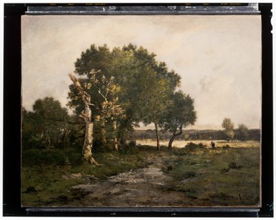 Landscape, c.19th century (oil on canvas) alkotó: Unknown artist