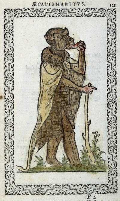 Az álló monge – Jean Sulperius „Habits et effigies” című könyvében alkotó: Unknown artist