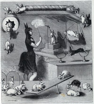 Les rabbits dresses du Nouveau Cirque Párizsban: nyúljelmezben lévő tampter, amely megtanítja a különböző számokat az állatnak. Metszet a „” La Nature”-ben 1890. Magángyűjtemény. alkotó: Unknown artist