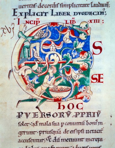 C betű; 12. század eleji szőlő. A középkor miniatűrje. „Moralia in Job” kézirat a Citeaux-i apátságból I. Gergely pápának alkotó: Unknown artist