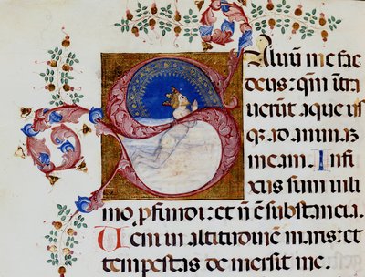 Lettrine S: David in the Deep Light - Antifónia a 15. században. Városi Bibl. Riminiből. alkotó: Unknown artist