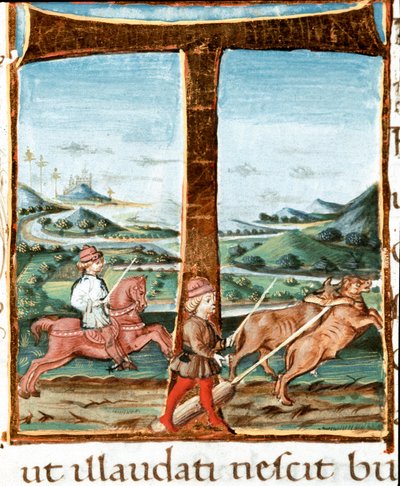 Lettrine T decoree egy lovasról és egy ökrök kiképzőjéről – Vergilius (Publius Vergilius Maro) (Kr. e. 70-19) miniatúrája a „The Bucoliques”-ból” (Eglogues) (Ms IV E.12). 15. századi Nápoly, Nemzeti Könyvtár alkotó: Unknown artist