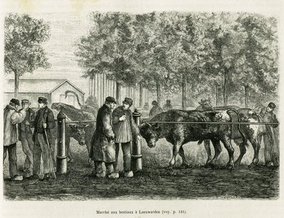 Állattartás Leeuwardenben (Hollandia). Metszet a La Frise című történet illusztrálására, egy holland újság kapcsolatán alapul, in le tour du monde 1886, rendező: Edouard Charton (1807-1890), Hachette, Párizs. alkotó: Unknown artist