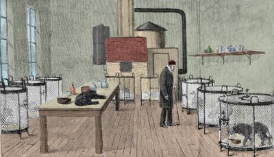 Louis Pasteur (1822-1895), francia kémikus és fizikus párizsi laboratóriumában. alkotó: Unknown artist