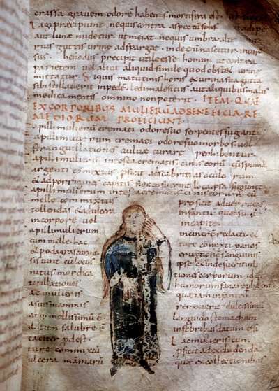 Kéziratos oldal Claude Galien "On the Simple Drugs"-ból (Klaudios Galenos vagy Claudio Galeno vagy Claudius Galenus vagy Galen, v. 131 - v. 201). 8. vagy 9. század. Lucca kormányzója. alkotó: Unknown artist