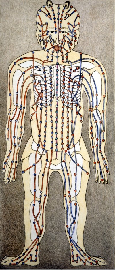 Gyógyszer. Az emberi test diagramja az akupunktúra tanulmányából. Magánkönyvtár, Milánó. alkotó: Unknown artist
