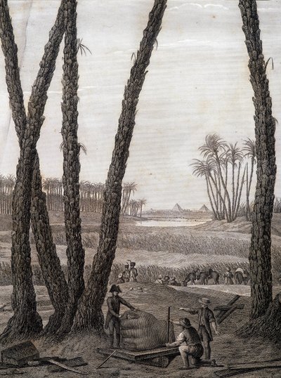 Memphis, kilátás a romokra (tudósok és dolgozó művészek) - „Egyiptom leírása” című részben, Imperial Editions alkotó: Unknown artist
