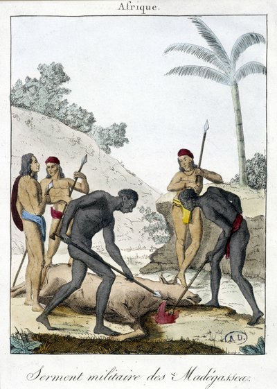 Madagaszkár lakóinak katonai esküje (levágott egy ökröt) - grv. 1811 alkotó: Unknown artist