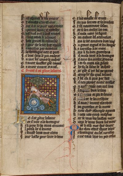 Nárcisz miniatűrje, aki egy szökőkútban csodálja tükörképét, a „Le Roman de la Rose”-ból alkotó: Unknown artist