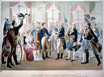 Napóleont 1804-ben kiáltották ki császárnak. alkotó: Unknown artist