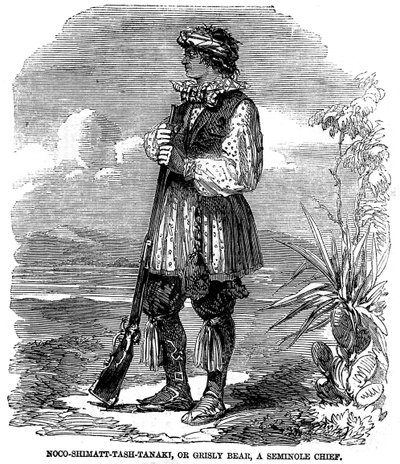 Noo-Shimatt-Tash-Tanaki, vagy gríz medve, egy Seminole törzsfőnök. alkotó: Unknown artist