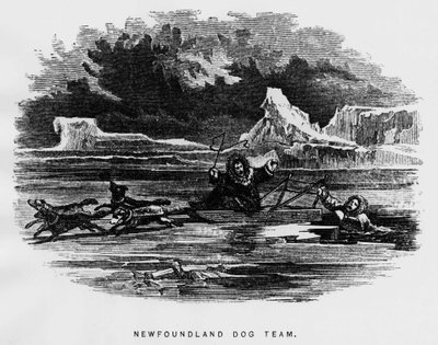 Északi-sark: szánhúzó kutya lebegett egy embert átesett a jégen - Elisha Kent Kane, Arctic Explorations in the years 1853-1855, Philadelphia, Childs és Peterson alkotó: Unknown artist