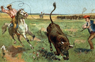 A Provence régióban ünnepelt régi szokás: a ferrade a Camargue-ban. A 19. század végének kromolitográfiája. alkotó: Unknown artist