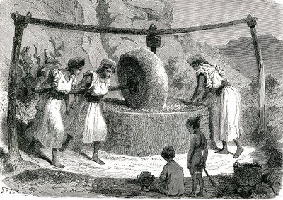 Olives grinding mill in Algeria 1885 alkotó: Unknown artist