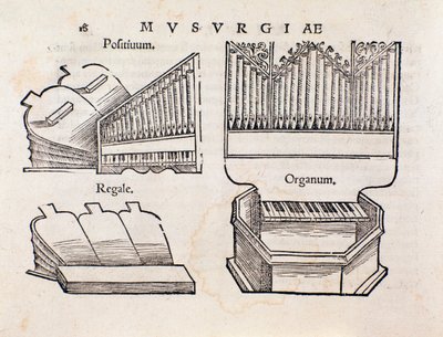 Szervábrázolás. Az oldal a Musurgia zenei gyakorlati kézikönyvből származik alkotó: Unknown artist