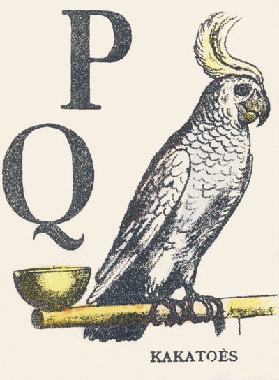 P K: kókuszdió alkotó: Unknown artist