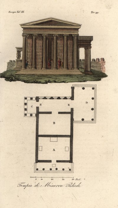 Az Erechtheion vagy Erechtheum A, Neptun B temploma, Minerva Polias temploma a Caryatidák tornácával C és Pandrosus vagy Pandrosion D terve és magassága alkotó: Unknown artist