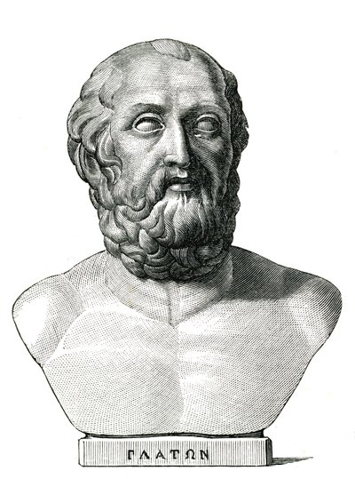 Plato alkotó: Unknown artist