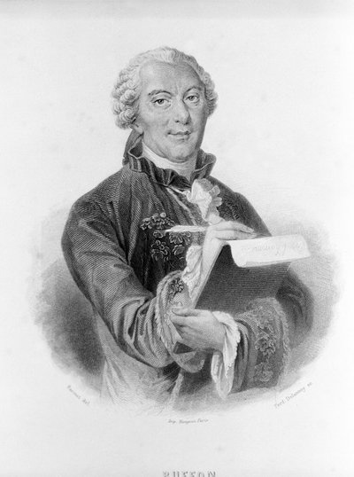 Buffon (1707-1788) francia természettudós és író portréja. alkotó: Unknown artist