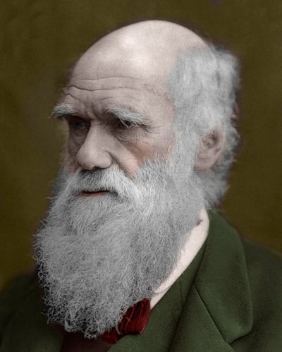 Charles Darwin portréja alkotó: Unknown artist
