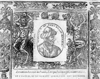 IV. Le Bel Károly, 1322 és 1328 közötti francia király portréja. alkotó: Unknown artist