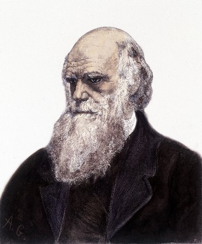 Charles Robert Darwin brit természettudós (1809-1882) portréja alkotó: Unknown artist