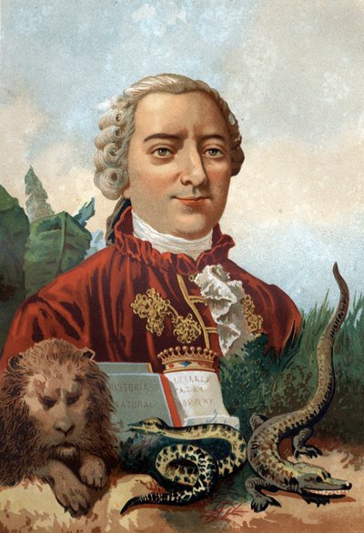 Georges Louis Leclerc, Buffon gróf (1707-1788), francia természettudós és író portréja. Kromolitográfia 19. század. Louis Figuier „La Ciencia y sus Hombres” című műve után. Barcelona 1881 alkotó: Unknown artist