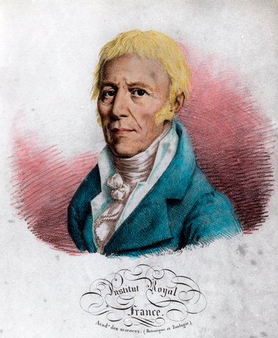 Jean Baptiste Lamarck (1744-1829) francia természettudós portréja. századi metszet. Magángyűjtemény. alkotó: Unknown artist