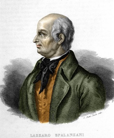 Lazzaro Spalanzani (vagy Spallanzani) olasz biológus (1729-1799) portréja alkotó: Unknown artist