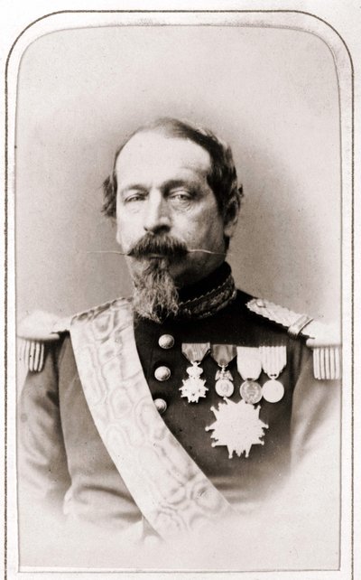 Napóleon portréja III. 19. századi fényképezés. alkotó: Unknown artist