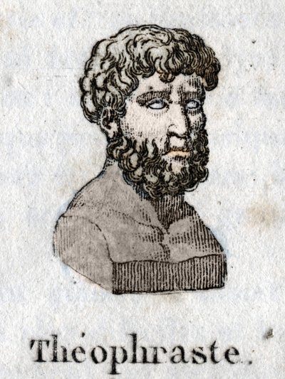 Theophraszt (Kr. e. 372- i. e. 287) görög filozófus portréja. alkotó: Unknown artist