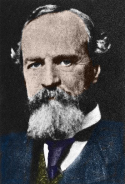 William James (1842-1910) amerikai pragmatista filozófus portréja. alkotó: Unknown artist