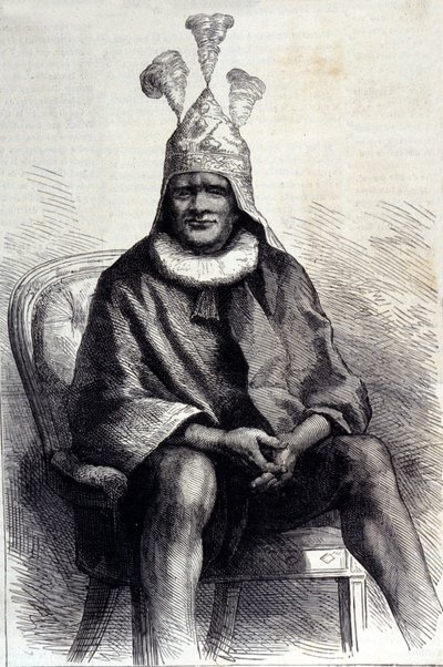 Cetshwayo zulu király portréja (vagy Cetawayo, Cetewayo, Cetywajo, Ketchwayo) (1826-1884) Metszet a XIX. alkotó: Unknown artist