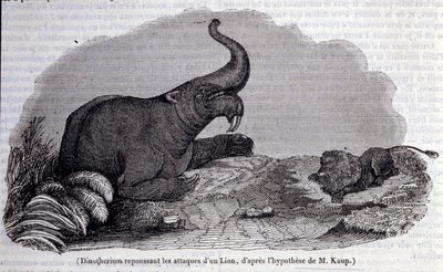 Őstörténet: Dinotherium ábrázolása, pachyderm típusa, oroszlán támadásának taszítása. századi metszet alkotó: Unknown artist