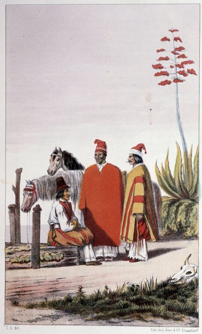 Magán- és vidékiek, Buenos Aires – Skogman Carl Johan Alfred „Első svéd körülhajózás” című könyvében, szerk. Stockhlom, Adolf Bonnier alkotó: Unknown artist