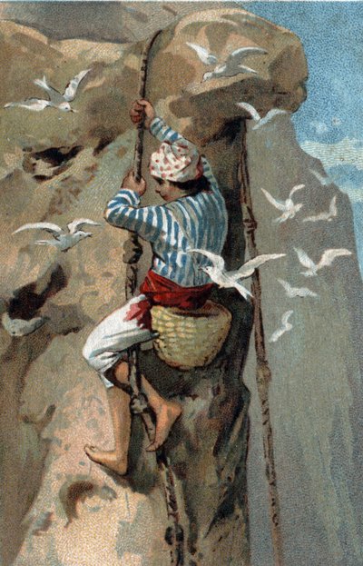 Salangan fecskefészkek áthelyezése Malajziában. A 19. század végének kromolitográfiája. alkotó: Unknown artist
