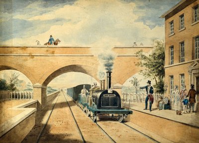 Gímszarvas, 1850 körül (akvarell, papír) alkotó: Unknown artist